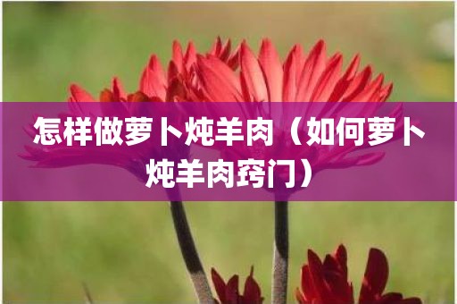 怎样做萝卜炖羊肉（如何萝卜炖羊肉窍门）