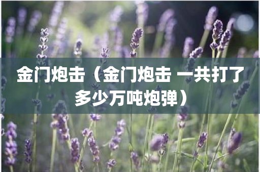 金门炮击（金门炮击 一共打了多少万吨炮弹）