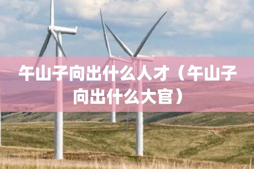 午山子向出什么人才（午山子向出什么大官）