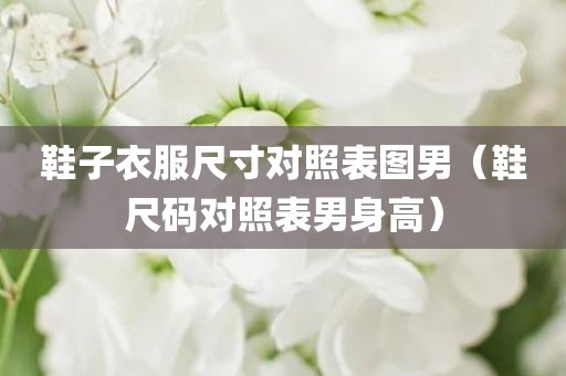 鞋子衣服尺寸对照表图男（鞋尺码对照表男身高）