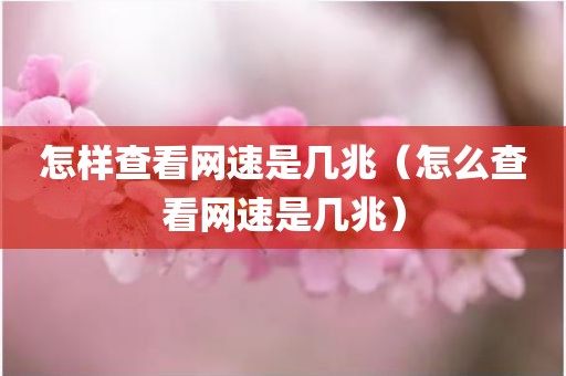 怎样查看网速是几兆（怎么查看网速是几兆）