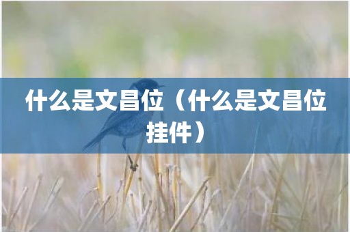什么是文昌位（什么是文昌位挂件）