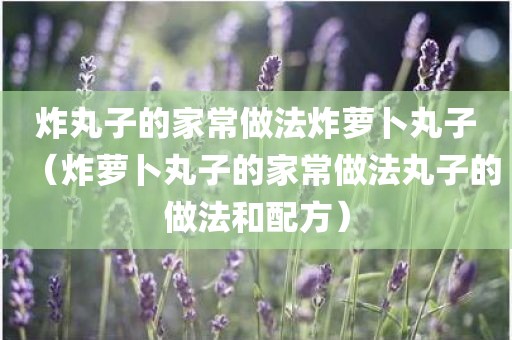 炸丸子的家常做法炸萝卜丸子（炸萝卜丸子的家常做法丸子的做法和配方）