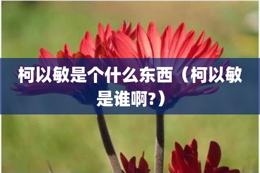 柯以敏是个什么东西（柯以敏是谁啊?）
