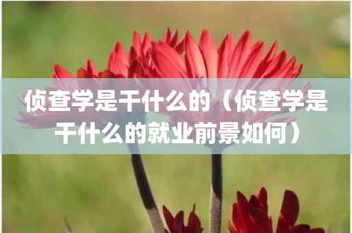 侦查学是干什么的（侦查学是干什么的就业前景如何）