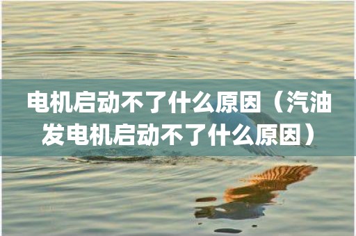 电机启动不了什么原因（汽油发电机启动不了什么原因）