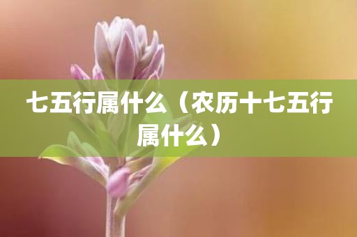 七五行属什么（农历十七五行属什么）