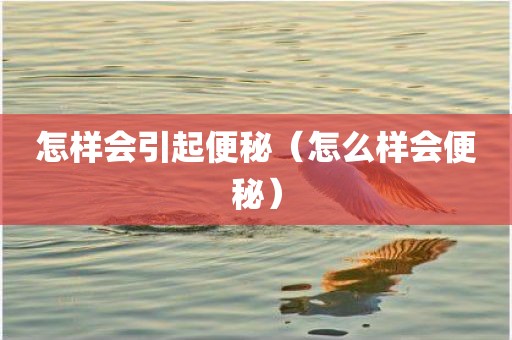 怎样会引起便秘（怎么样会便秘）