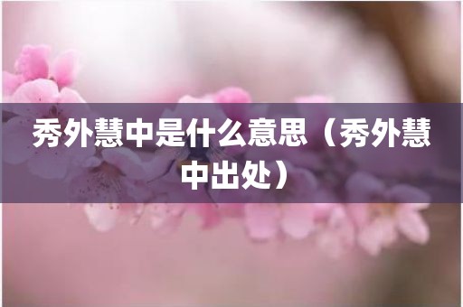 秀外慧中是什么意思(秀外慧中出处)