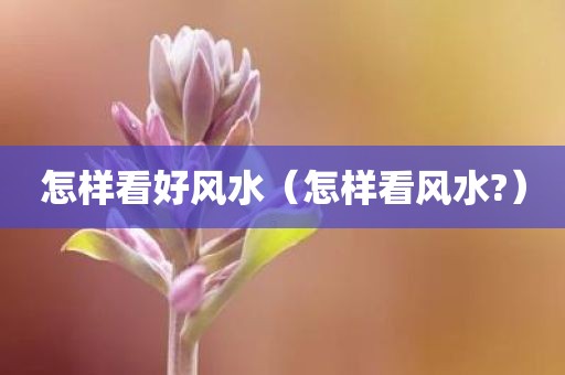 怎样看好风水（怎样看风水?）