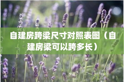 自建房跨梁尺寸对照表图（自建房梁可以跨多长）