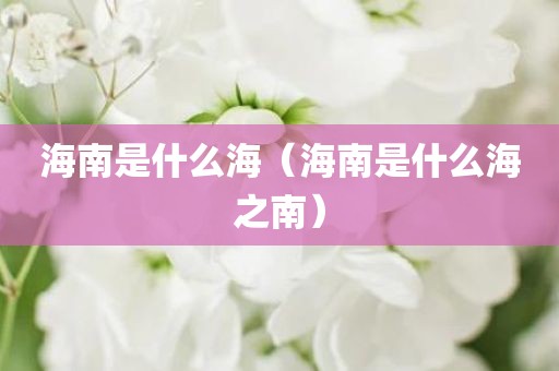 海南是什么海(海南是什么海之南)