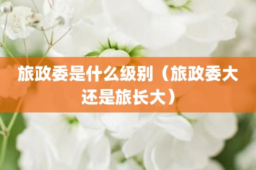 旅政委是什么级别（旅政委大还是旅长大）
