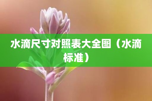 水滴尺寸对照表大全图（水滴标准）