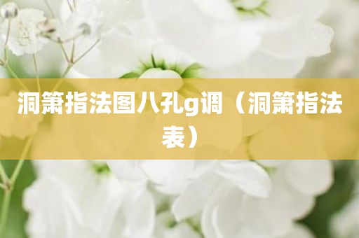 洞箫指法图八孔g调(洞箫指法表)