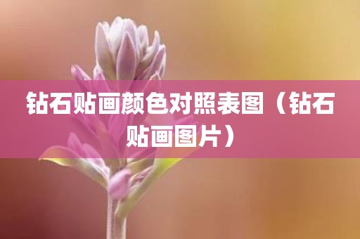钻石贴画颜色对照表图（钻石贴画图片）