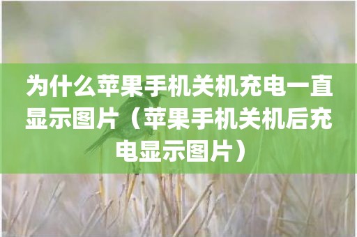 为什么苹果手机关机充电一直显示图片（苹果手机关机后充电显示图片）