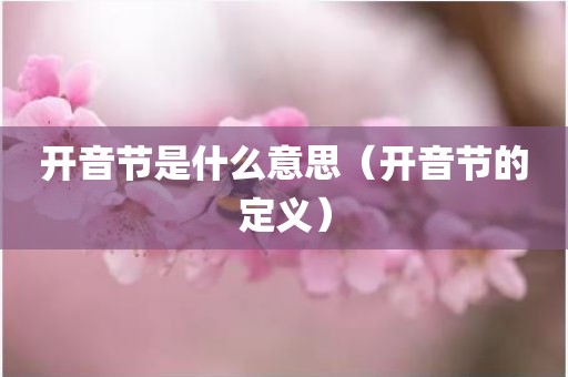 开音节是什么意思(开音节的定义)