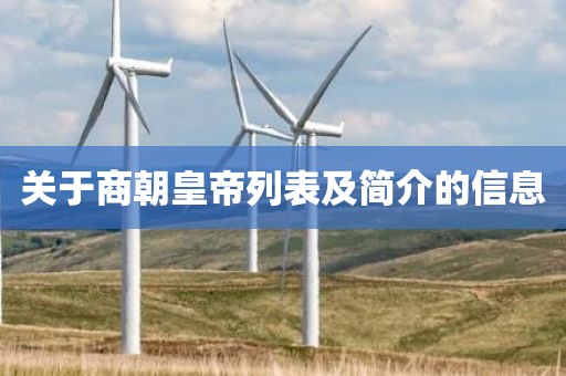 关于商朝皇帝列表及简介的信息