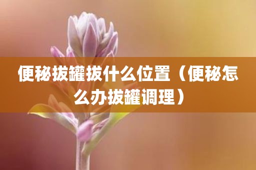 便秘拔罐拔什么位置（便秘怎么办拔罐调理）