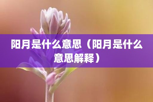 阳月是什么意思（阳月是什么意思解释）