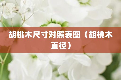 胡桃木尺寸对照表图（胡桃木直径）
