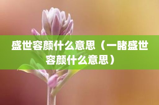 盛世容颜什么意思（一睹盛世容颜什么意思）