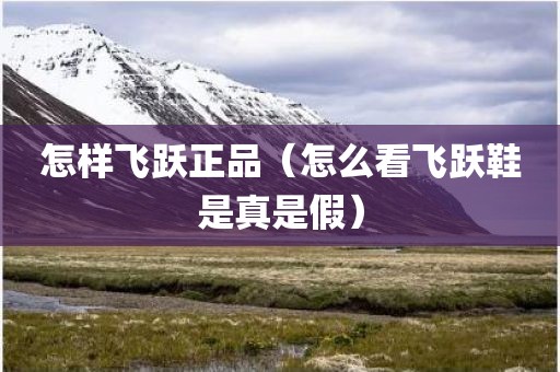 怎样飞跃正品（怎么看飞跃鞋是真是假）