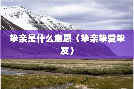 挚亲是什么意思（挚亲挚爱挚友）