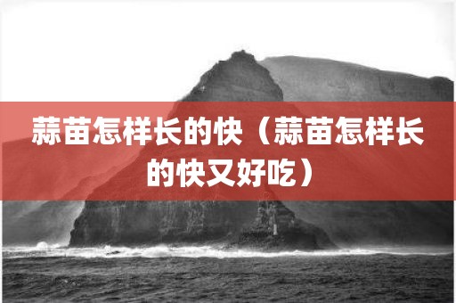蒜苗怎样长的快（蒜苗怎样长的快又好吃）