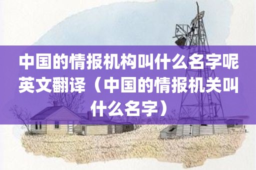 中国的情报机构叫什么名字呢英文翻译（中国的情报机关叫什么名字）