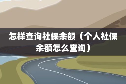 怎样查询社保余额（个人社保余额怎么查询）