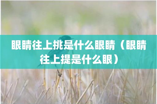 眼睛往上挑是什么眼睛（眼睛往上提是什么眼）