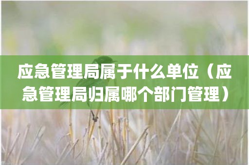 应急管理局属于什么单位（应急管理局归属哪个部门管理）