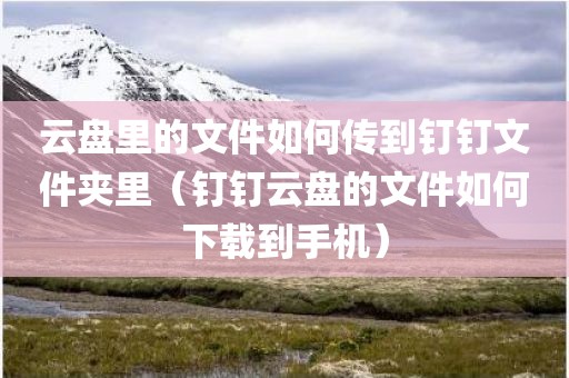 云盘里的文件如何传到钉钉文件夹里（钉钉云盘的文件如何下载到手机）