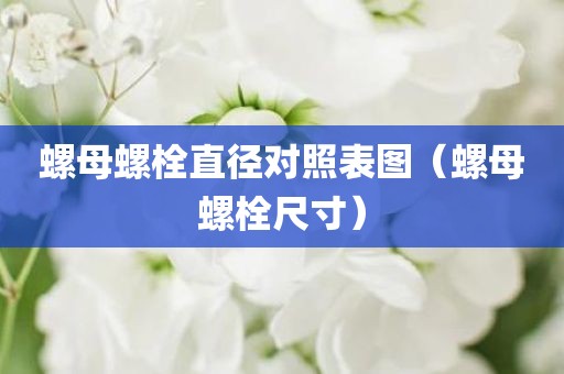 螺母螺栓直径对照表图（螺母螺栓尺寸）