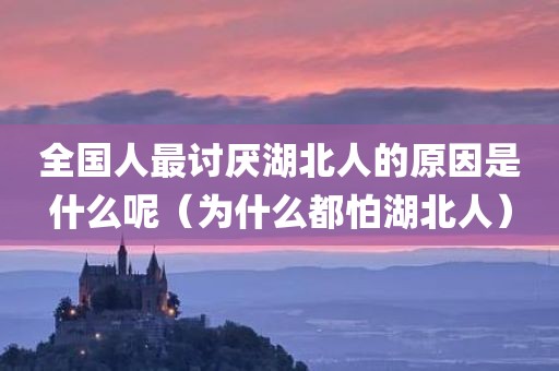 全国人最讨厌湖北人的原因是什么呢（为什么都怕湖北人）