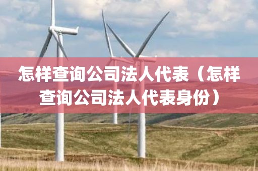 怎样查询公司法人代表（怎样查询公司法人代表身份）