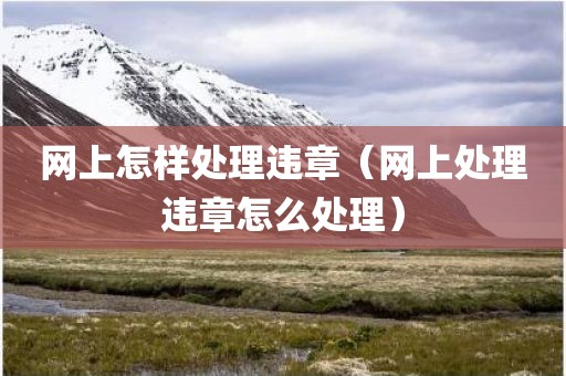 网上怎样处理违章（网上处理违章怎么处理）