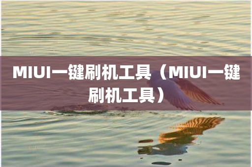 MIUI一键刷机工具（MIUI一键刷机工具）
