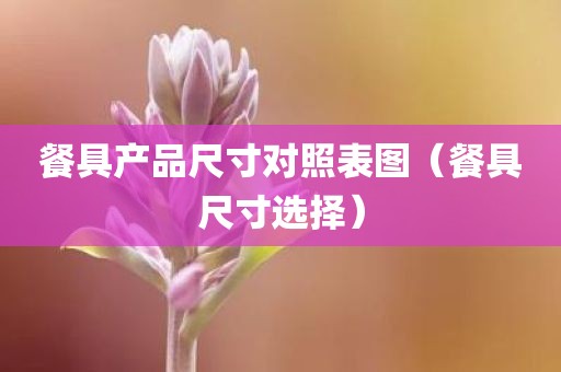 餐具产品尺寸对照表图（餐具尺寸选择）