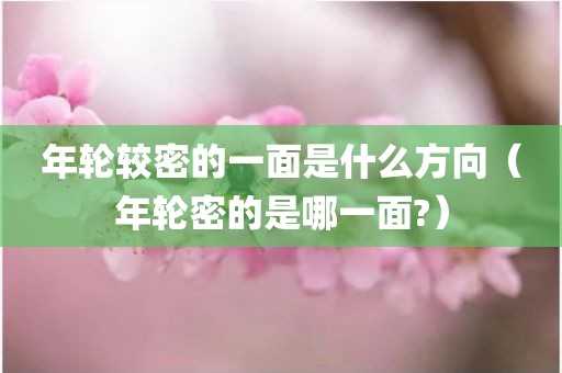 年轮较密的一面是什么方向（年轮密的是哪一面?）