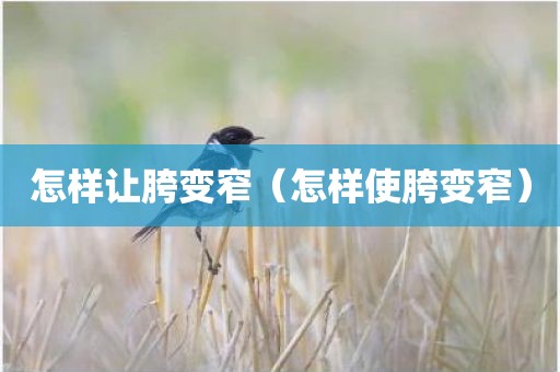 怎样让胯变窄（怎样使胯变窄）