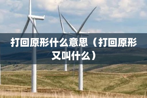 打回原形什么意思（打回原形又叫什么）