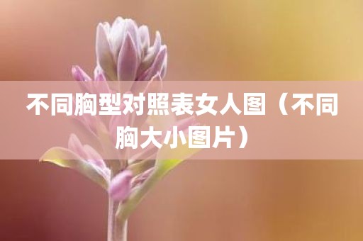 不同胸型对照表女人图（不同胸大小图片）