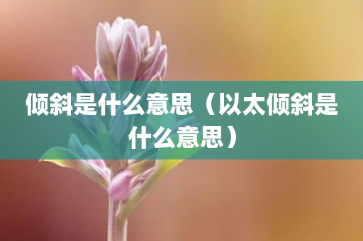 倾斜是什么意思（以太倾斜是什么意思）