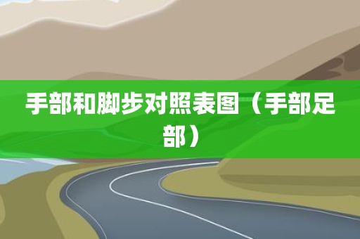 手部和脚步对照表图（手部足部）