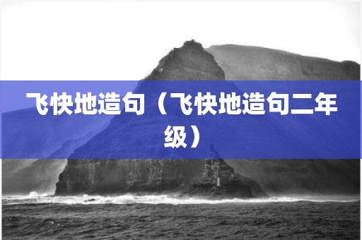 飞快地造句（飞快地造句二年级）