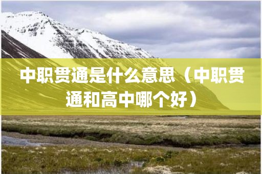 中职贯通是什么意思（中职贯通和高中哪个好）