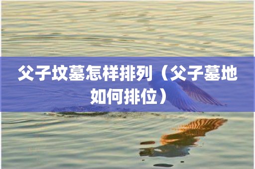 父子坟墓怎样排列（父子墓地如何排位）